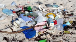 Картинка по теме - почему люди не берегут природу