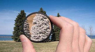 Картинка по теме - что такое восприятие