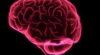 Картинка по теме - как улучшить кровоснабжение мозга