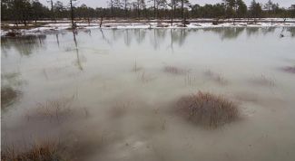 Картинка по теме - почему засасывает болото