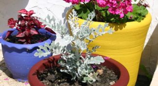 Картинка по теме - как сделать кашпо для цветов своими руками