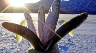 Картинка по теме - как плести косынку