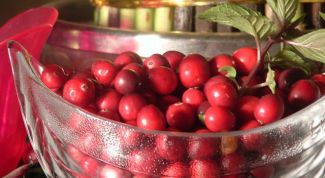 Картинка по теме - как хранить клюкву