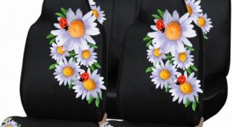 Картинка по теме - как отстирать грязные автомобильные чехлы