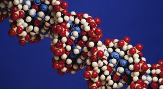 Картинка по теме - почему появляются жировики