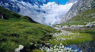 Картинка по теме - что такое климат