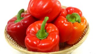 Картинка по теме - почему гниет перец