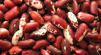 Картинка по теме - как консервировать красную фасоль