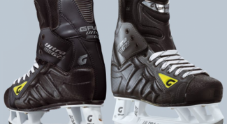 Картинка по теме - как отремонтировать коньки