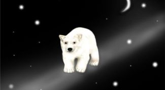 Картинка по теме - как найти малую медведицу