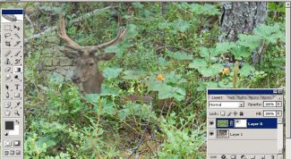 Картинка по теме - зачем нужны маски