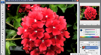 Картинка по теме - как вставить картинку в шапку для сайта