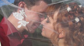 Картинка по теме - почему кричат 