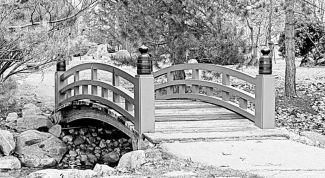 Картинка по теме - как перевести изображение в черно-белое