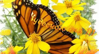 Картинка по теме - как отправить открытку в гостевой книге