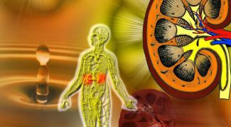 Картинка по теме - как сохранить почки