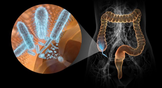 Картинка по теме - как провести восстановление микрофлоры кишечника после антибиотиков