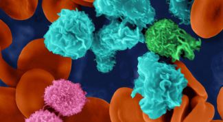 Картинка по теме - что такое иммунная система человека