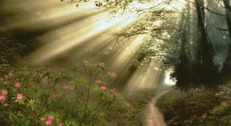 Картинка по теме - почему солнце не одинаково нагревает разные участки земли