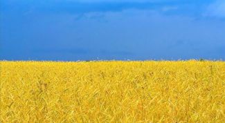 Картинка по теме - что нужно для поездки на украину