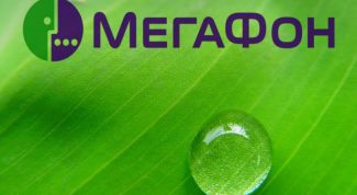 Картинка по теме - как узнать фамилию по номеру в сети мегафон