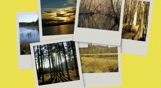 Картинка по теме - как установить фотогалерею на сайт