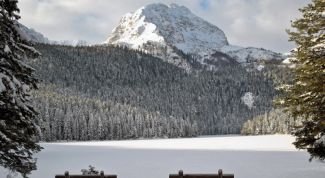 Картинка по теме - почему создаются заповедники
