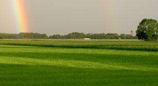 Картинка по теме - почему радуга разноцветная