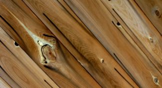 Картинка по теме - как грунтовать дерево