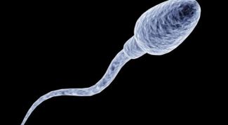 Картинка по теме - как планировать беременность мужу