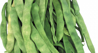 Картинка по теме - как жарить стручковую фасоль