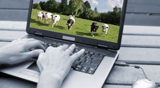 Картинка по теме - как поместить фото в журнал