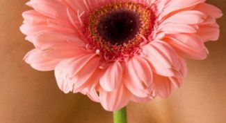 Картинка по теме - как выявить рак груди