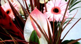 Картинка по теме - как грамотно подобрать свадебные цветы