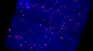 Картинка по теме - как найти нормаль плоскости
