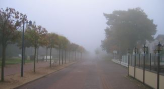 Картинка по теме - что такое туман