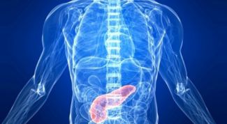 Картинка по теме - что делает поджелудочная железа