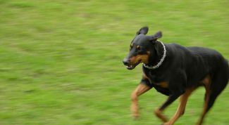 Картинка по теме - в какой программе замедлить видеоклип