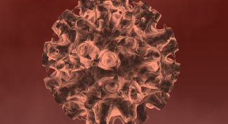 Картинка по теме - почему вирусы называют внутриклеточными паразитами