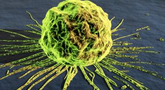 Картинка по теме - что такое злокачественная опухоль 