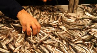 Картинка по теме - как мариновать мойву