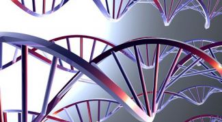 Картинка по теме - почему биологию считают наукой будущего