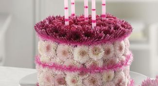 Картинка по теме - почему отмечают день рождения