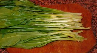 Картинка по теме - как приготовить зеленый чеснок - черемшу