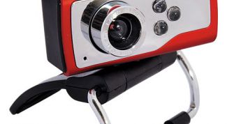 Картинка по теме - как сделать онлайн камеру