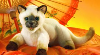 Картинка по теме - как сшить игрушку-кота