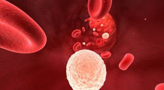 Картинка по теме - как увеличить количество лейкоцитов