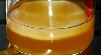 Картинка по теме - как настаивать чайный гриб