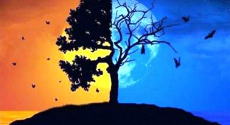 Картинка по теме - что такое рождаемость и смертность в современной экологии