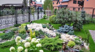 Картинка по теме - как подкислить почву